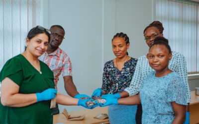 Accelerating bean breeding to respond to market demands in East Africa: ACIAR’s Rapid Cooking Bean Project for health, nutrition and fuel efficiency