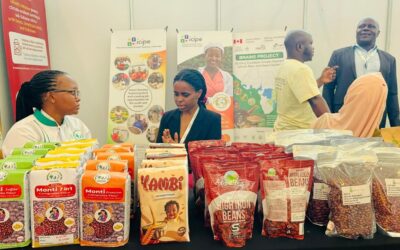 Taste of progress: High-iron bean nutritional formulation draws international acclaim