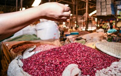 Scaling nutrition impact: Schools serve up High-Iron Beans