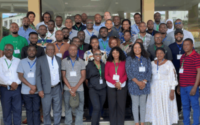 Digital inclusion for impact: Unlocking opportunities for Tanzania’s agro-traders