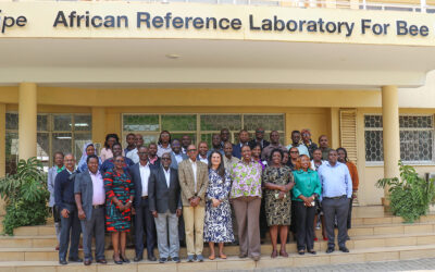 BRAINS at one: Grit, growth, and innovation in Africa’s bean-insect-fruit trees value chains