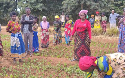 From parched land to productive farms: AID-I paves the way in Malawi