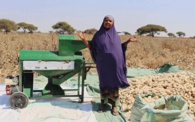 From hard labor to higher profits: Tanzania’s smallholders win big through mechanized threshing power