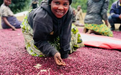 How bean seed distribution is changing lives in Eastern DRC