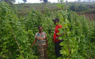 Beans that heal: Journey to better nutrition in Rwanda’s Western Province