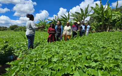 Beans, bees, bold dreams: Mercy Loko’s path to agricultural success
