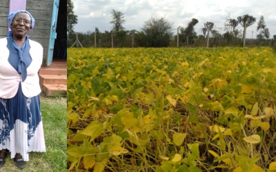 Waithera beans help Kenyan female farmer beat drought