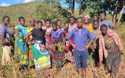 Farmers take lead in shaping Malawi’s next generation of bean varieties