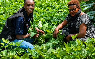 Rwanda takes on child malnutrition head-on through school gardens